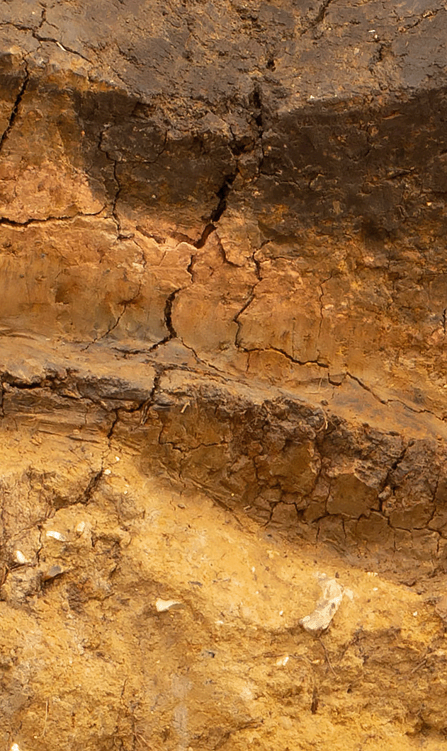 Photo of the layers of earth revealed at the archaeological dig.