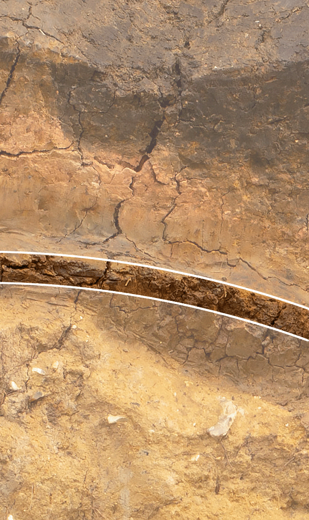 Photo of the layers of earth revealed at the archaeological dig with a layer of clay highlighted.