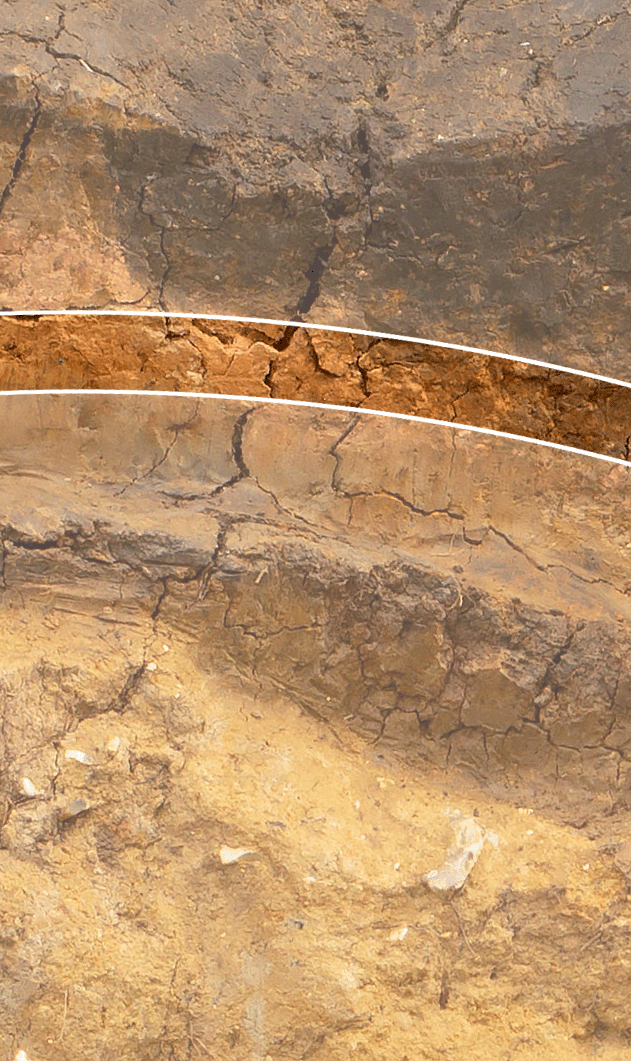 Photo of the layers of earth revealed at the archaeological dig with a higher layer of clay highlighted.
