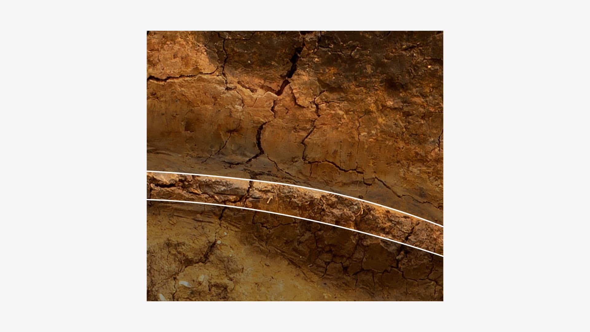 Photo of the layers of earth revealed at the archaeological dig with a layer of clay highlighted.