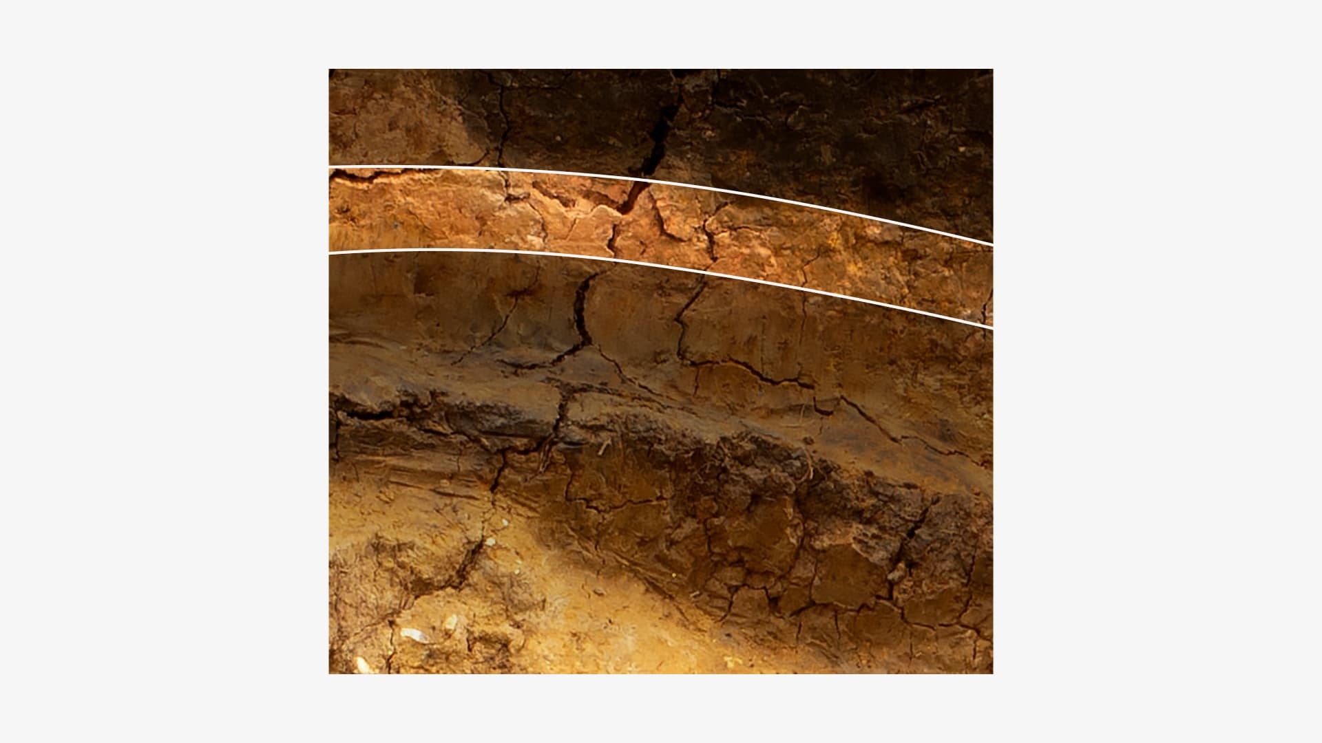 Photo of the layers of earth revealed at the archaeological dig with a higher layer of clay highlighted.