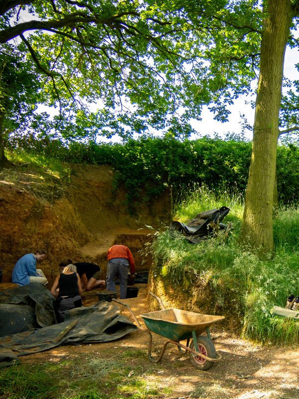 A corner of the Barham site with one of the excavated areas around a tree which stands in the centre of the image, with a hedge in the background and the sky just above it. A metal wheelbarrow stands in the foreground in the sunshine, along with tools and two pairs of boots in the long grass. On the left, a little further back, a small group of archaeologists are working in the shaded dig area. 