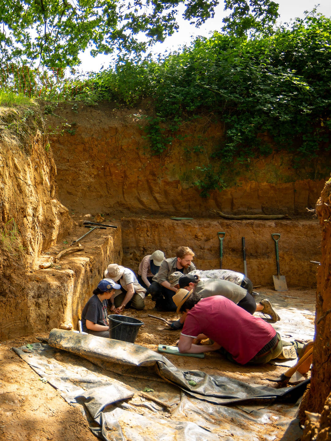 Inside one of the pits with a group of archaeologists. At the top of the image are the trunks of the surrounding trees. The sun-dappled walls of the pit descend around two metres into the yellow soil. On the left, one archaeologist crouches next to a big yellow bucket digging a series of square holes into the floor of the pit, like a chessboard. In the background, in a slightly deeper section of the pit, a group of archaeologists, surrounded by picks and shovels, are sat on the ground with small hand tools slowly clearing a section of the ground.