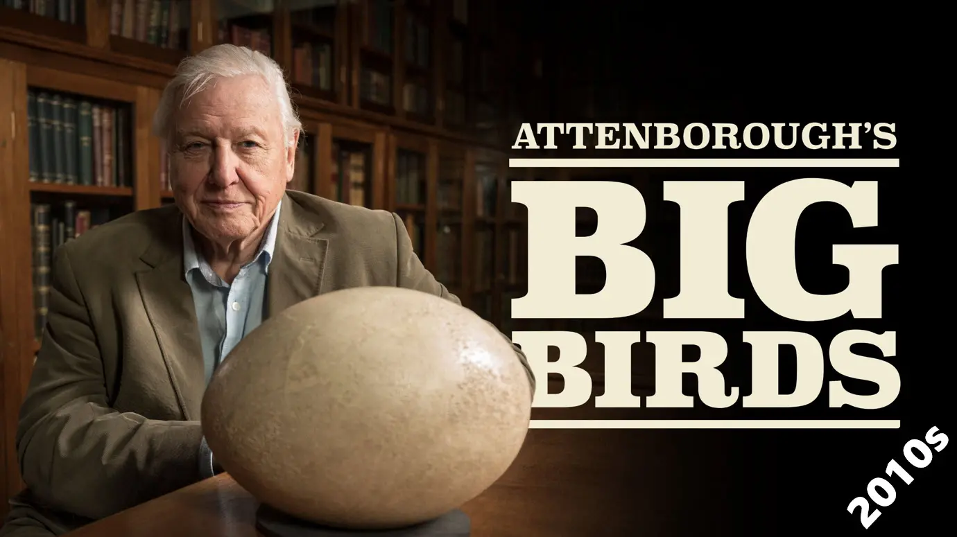 Attenborough's Big Birds