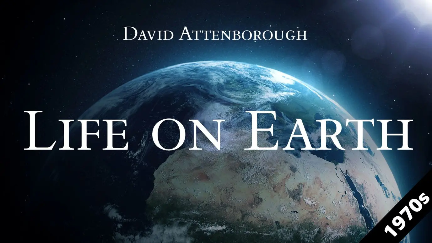 Life on Earth