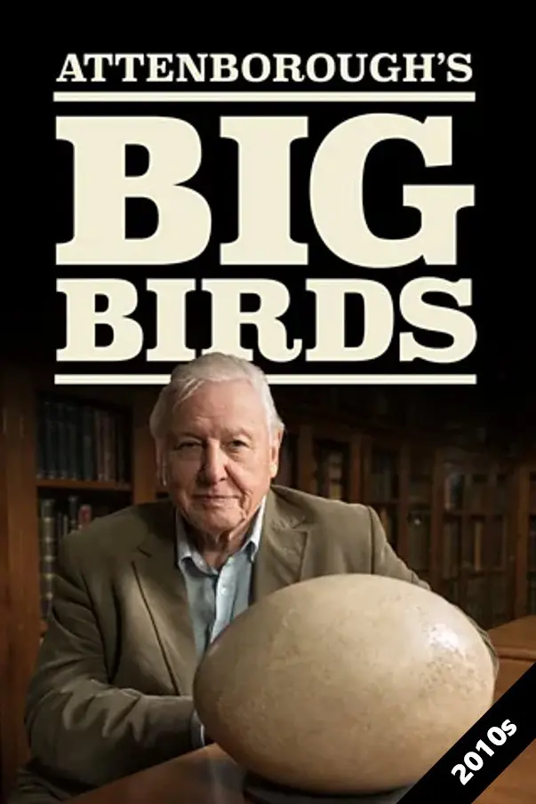 Attenborough's Big Birds
