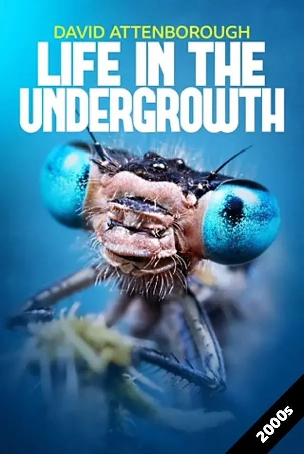 Life in the Undergrowth