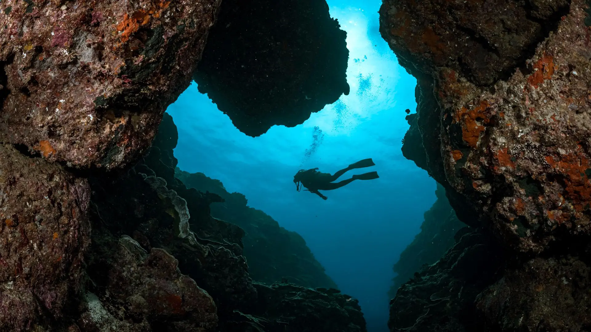 A scuba diver swims through a narrow canyon framed by rugged rock walls (Credit: Jay Clue)