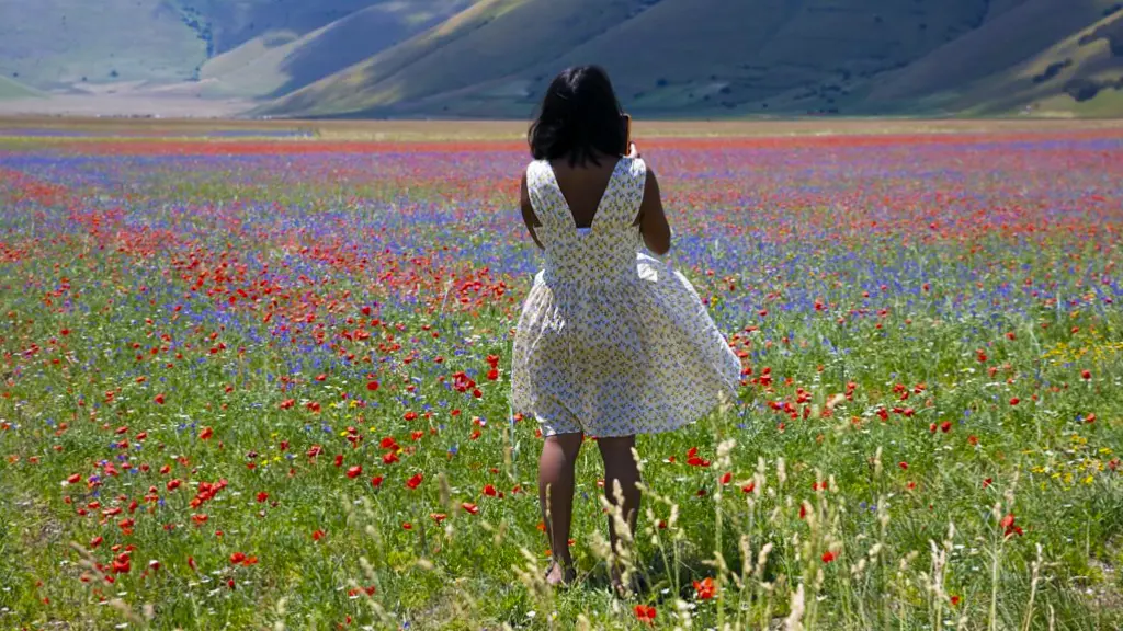 A field covered in of red, blue and lilac lentil bloom beneath hills (Credit: Elisabetta Abrami)