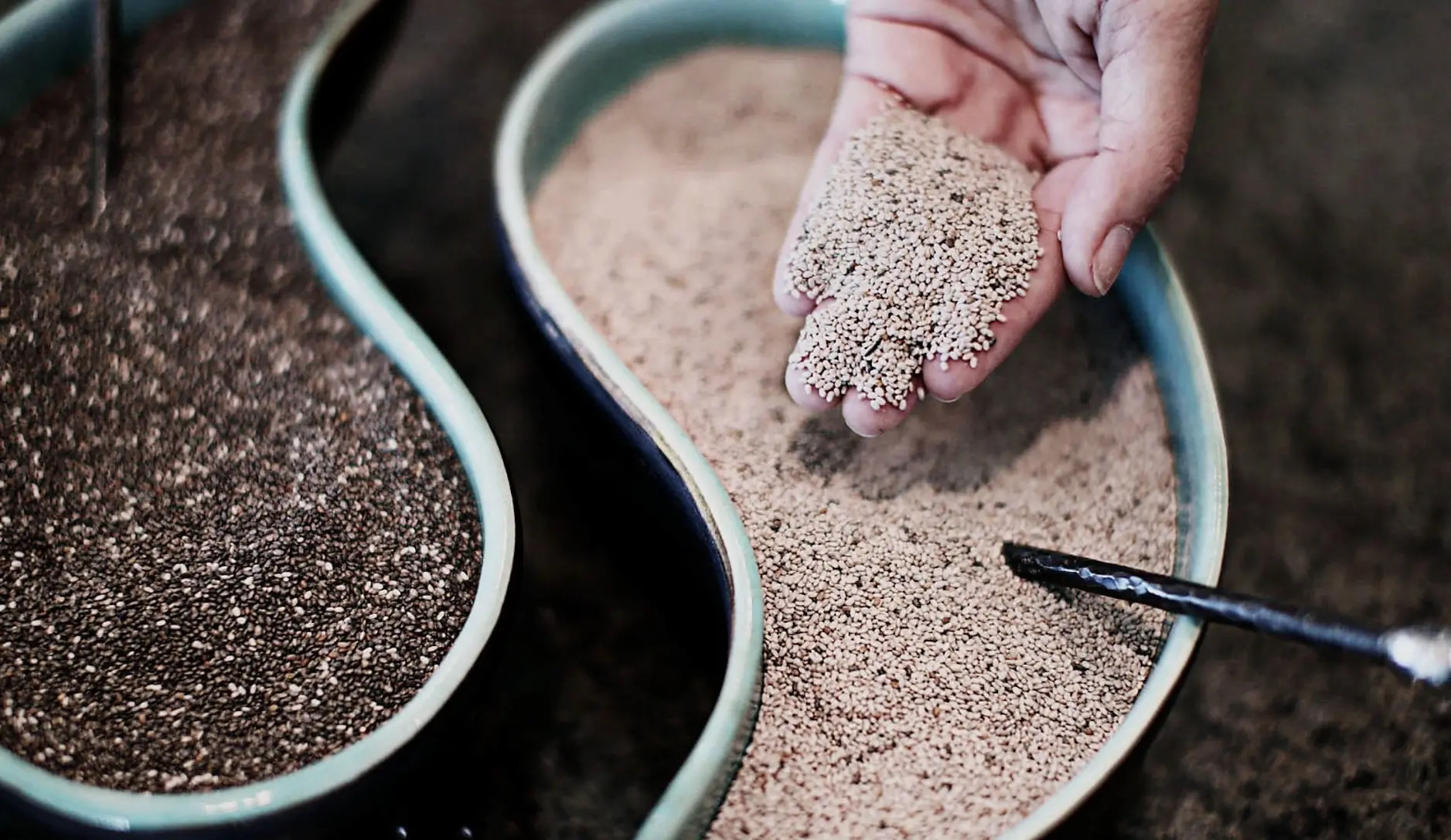 Two teardrop shaped bowls, one containing dark brown seeds and one containing light brown seeds, with a hand above showing some of the lighter, chai seeds