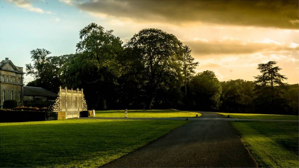 'Astonished' by the natural light and accompanied shadow of trees at Blenheim Palace.