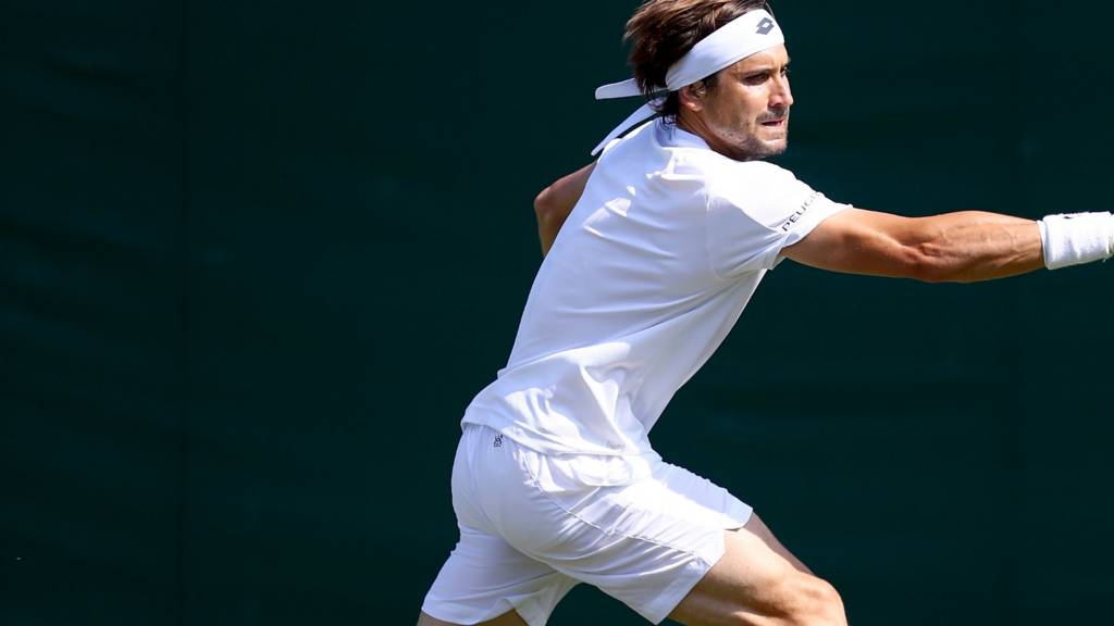 David Ferrer