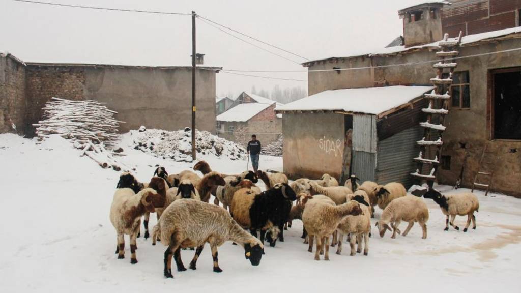 doğuda kar