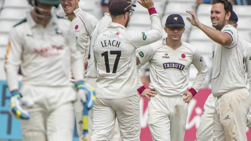 Somerset's players celebrate a wicket