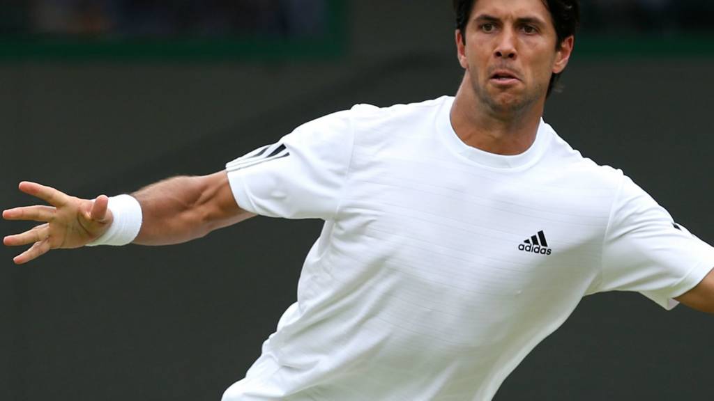 Fernando Verdasco