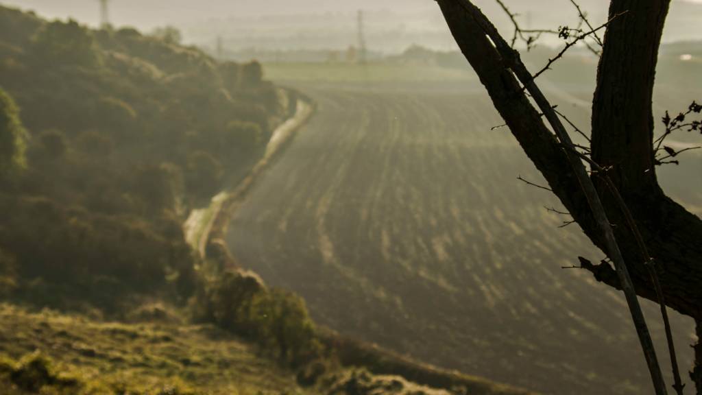 Dunstable Downs