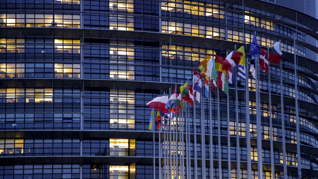 Flags outside the Strasbourg Parliament building