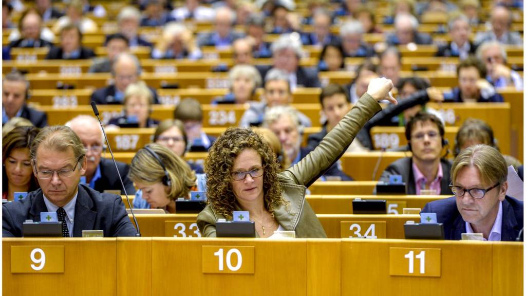 Voting at the Brussels plenary sitting