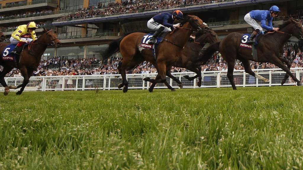 Ascot racecourse