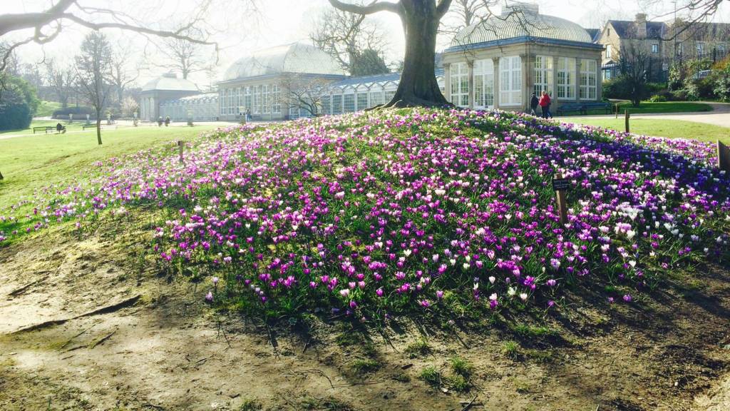 Botanical Gardens, Sheffield