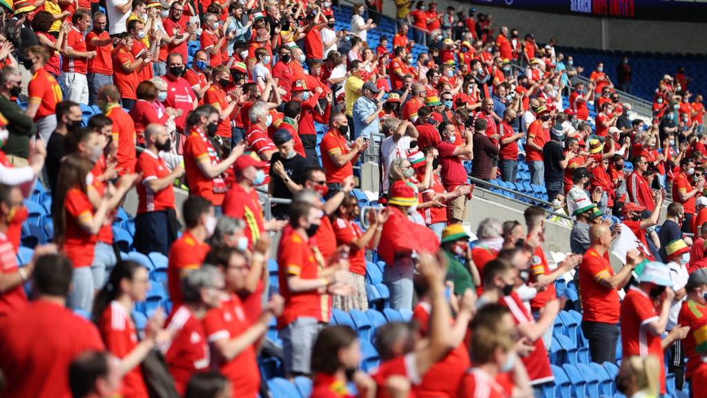 Wales crowd