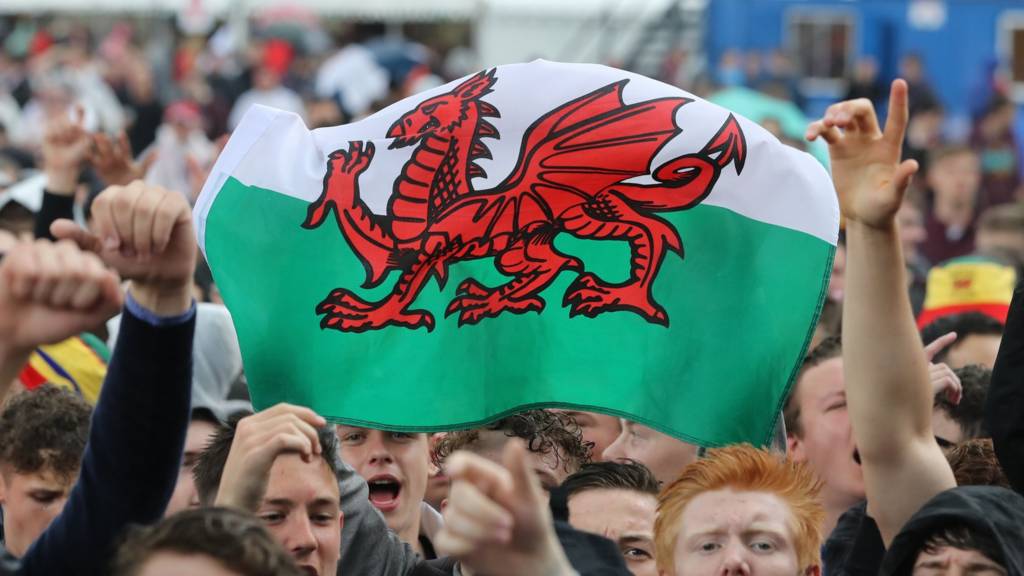 Wales fans with a Welsh flag