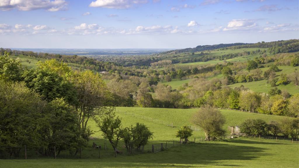 Rural Cotswold scene