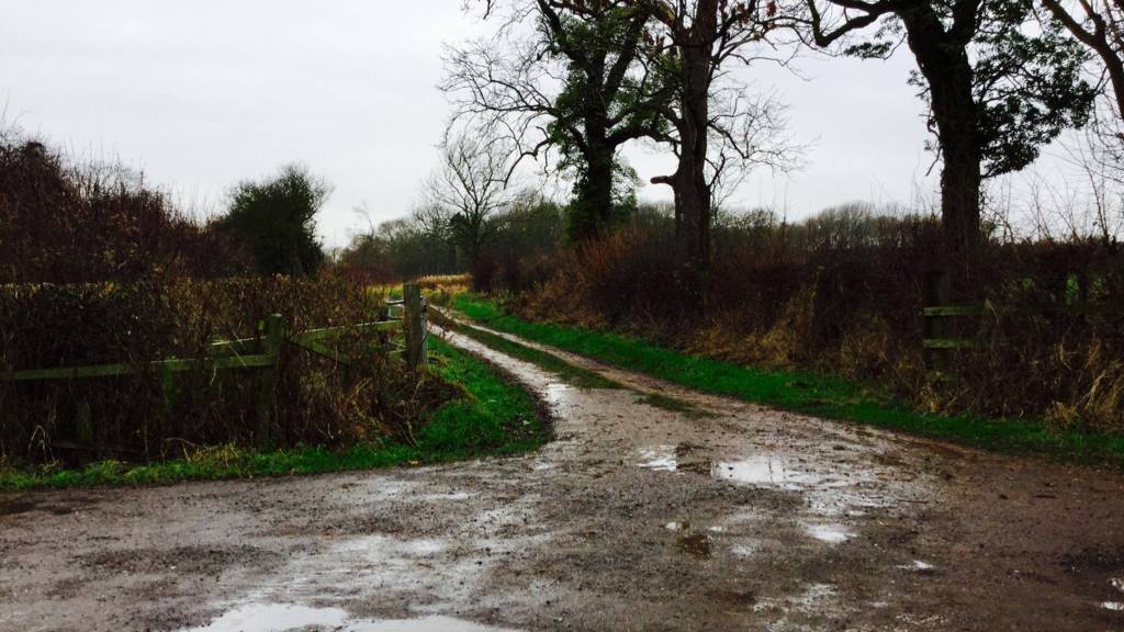 Puddles in Long Whatton