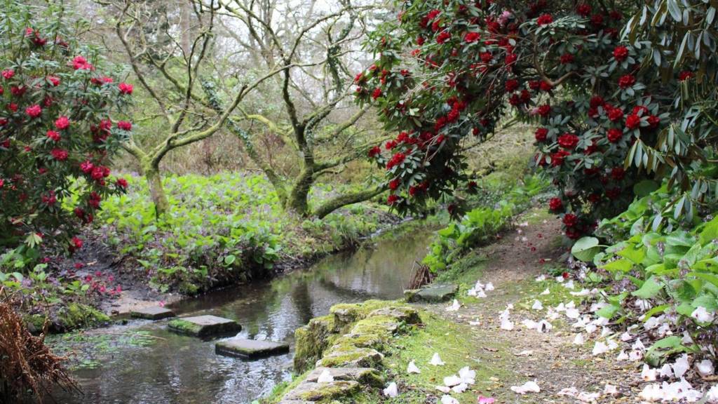 River Cerne at Minterne