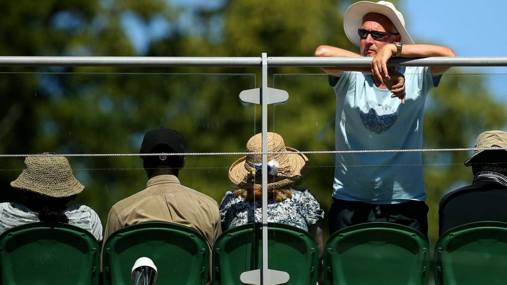 A fan watches over the fence