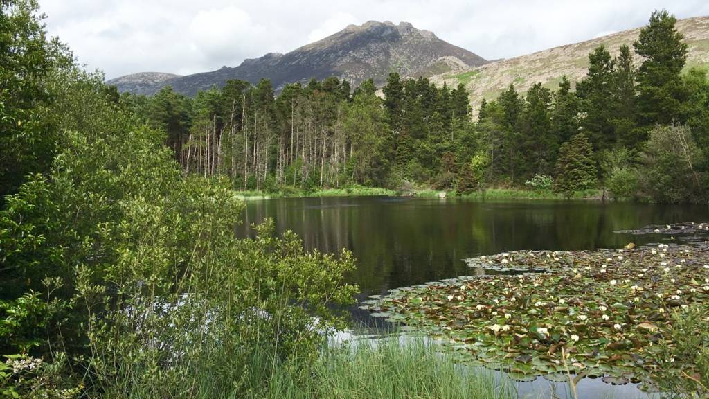 Silent Valley