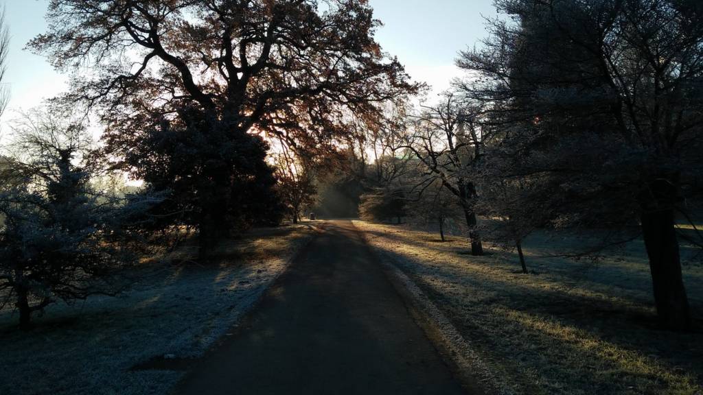 University parks