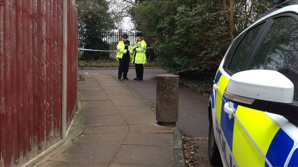 Harlow stabbing scene
