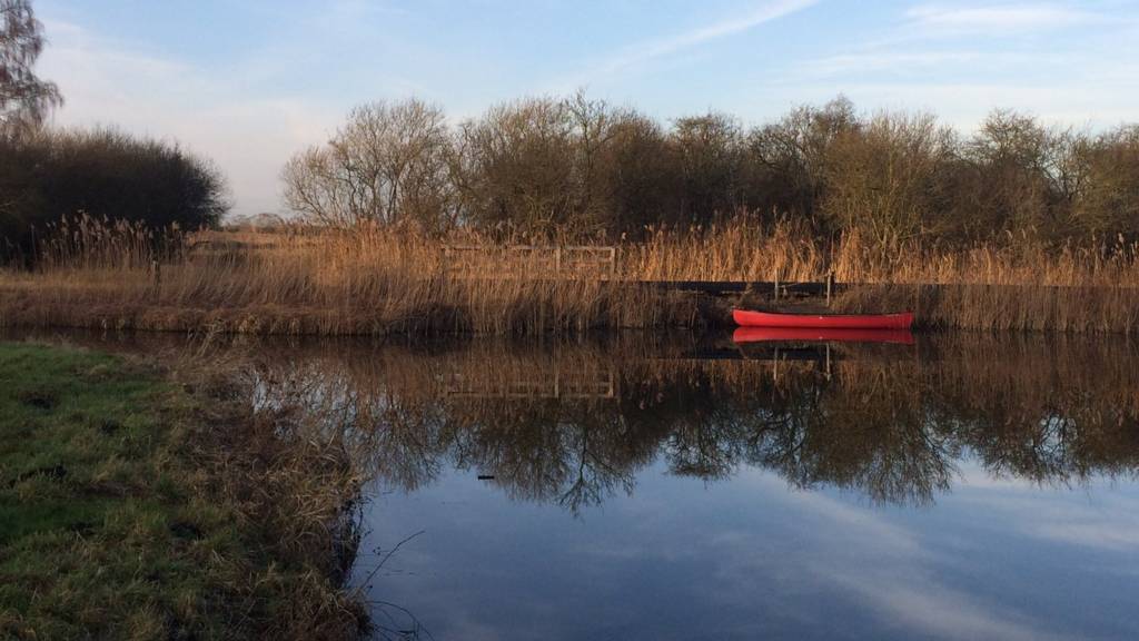 Wicken Fen