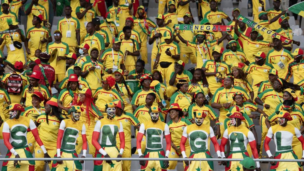 Senegal fan