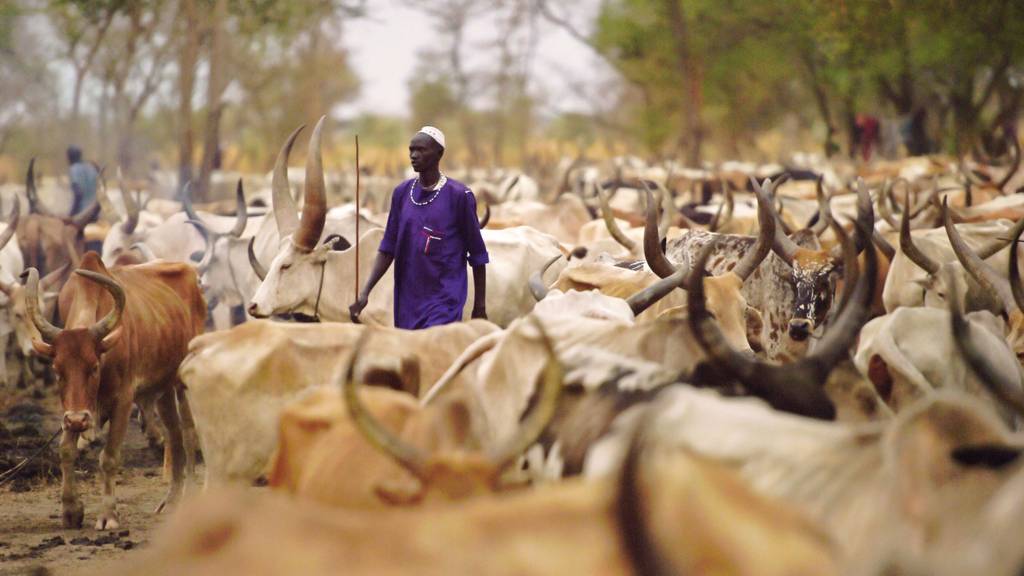 A man with cattle in South Sudan