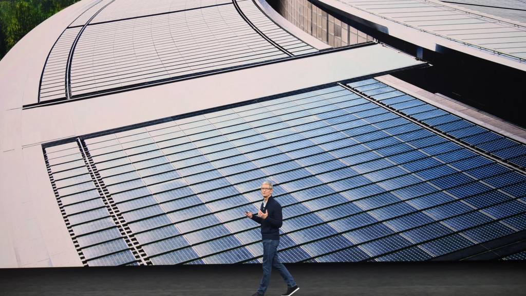 Tim Cook