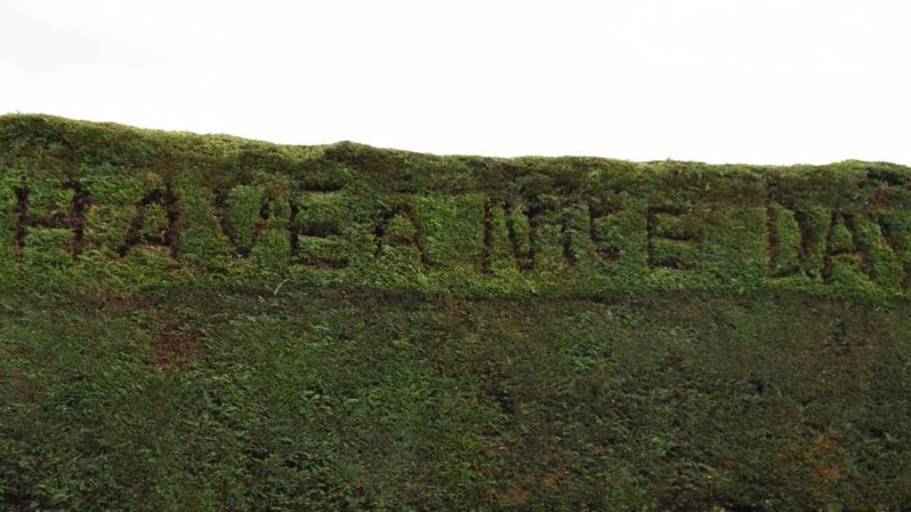 Have a nice day written in a hedge