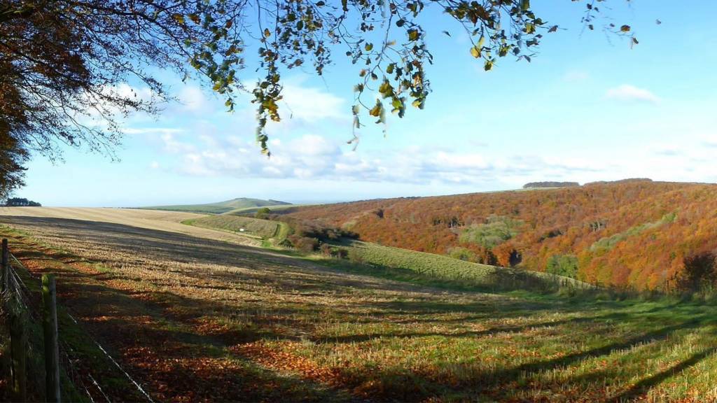 East Dorset