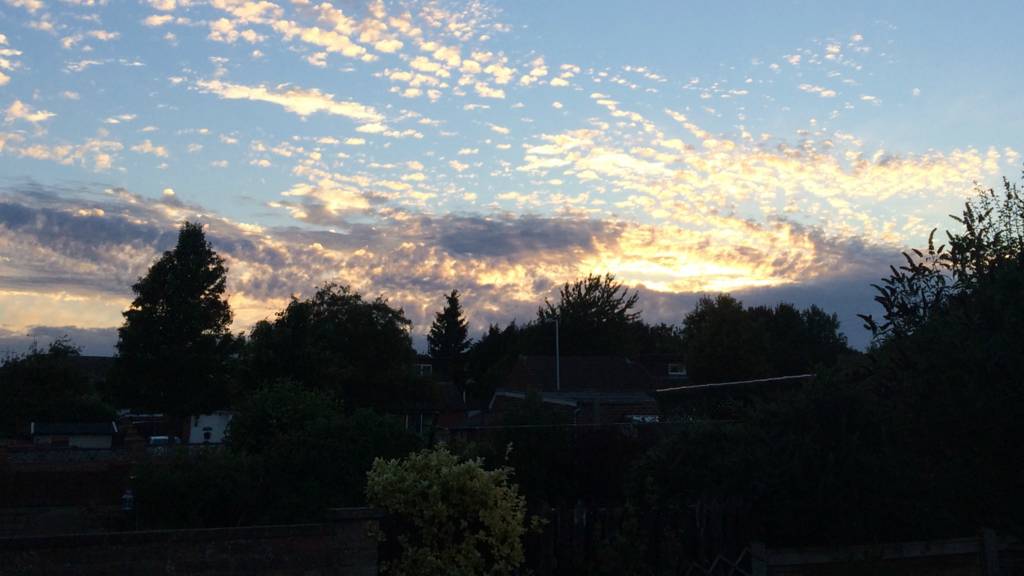 BBC Local Live Beds, Herts & Bucks on Friday 14 August 2015 BBC News