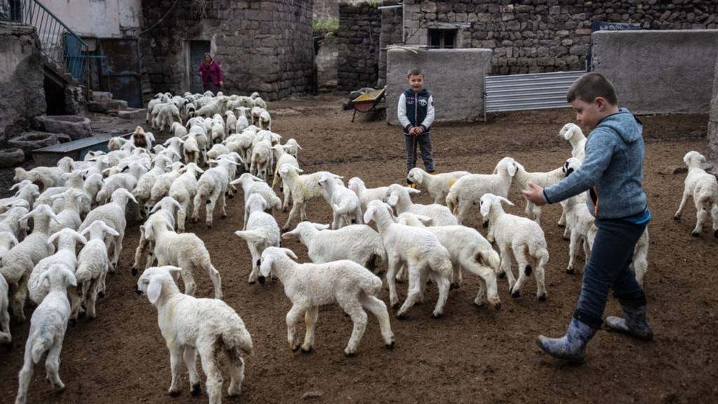 Türkiye