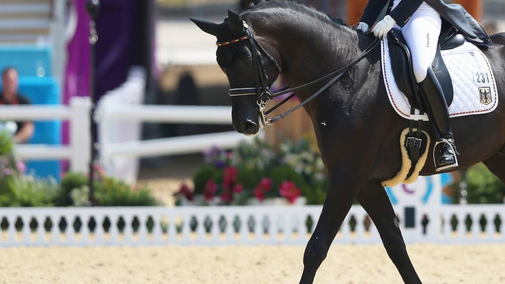 Equestrian
