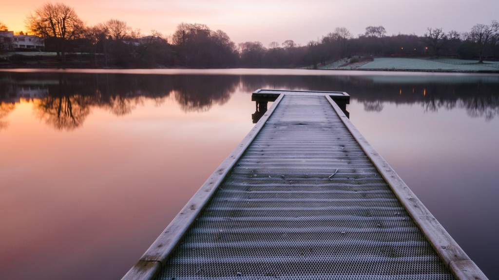 Dungannon Park