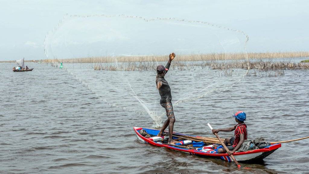 2 Shirya Kifi Kifi Mai Kifi Mai Rike Bangon Jirgin Nigeria