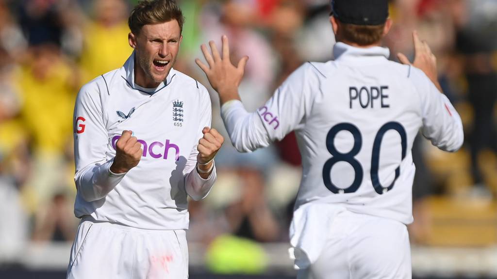 Joe Root (left) and Ollie Pope (right) celebrate a wicket