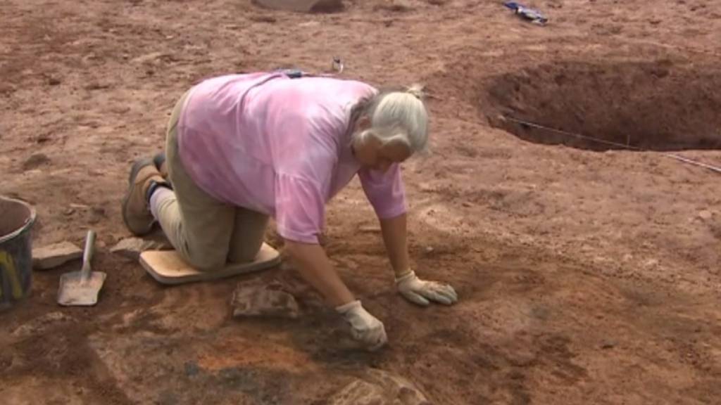Archaeologist