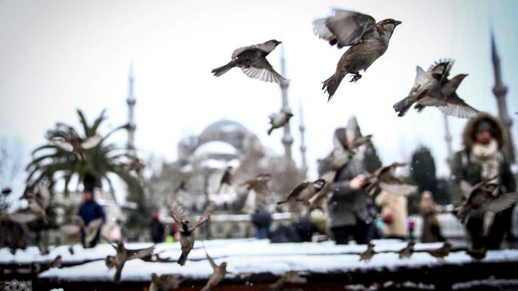 İstanbul'da kar