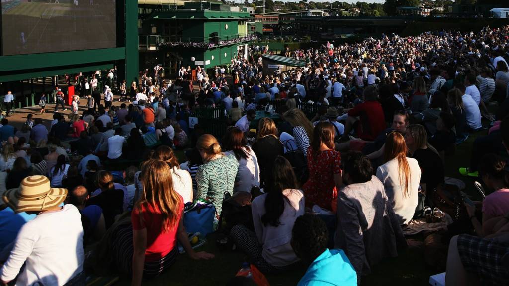 Fans watch action