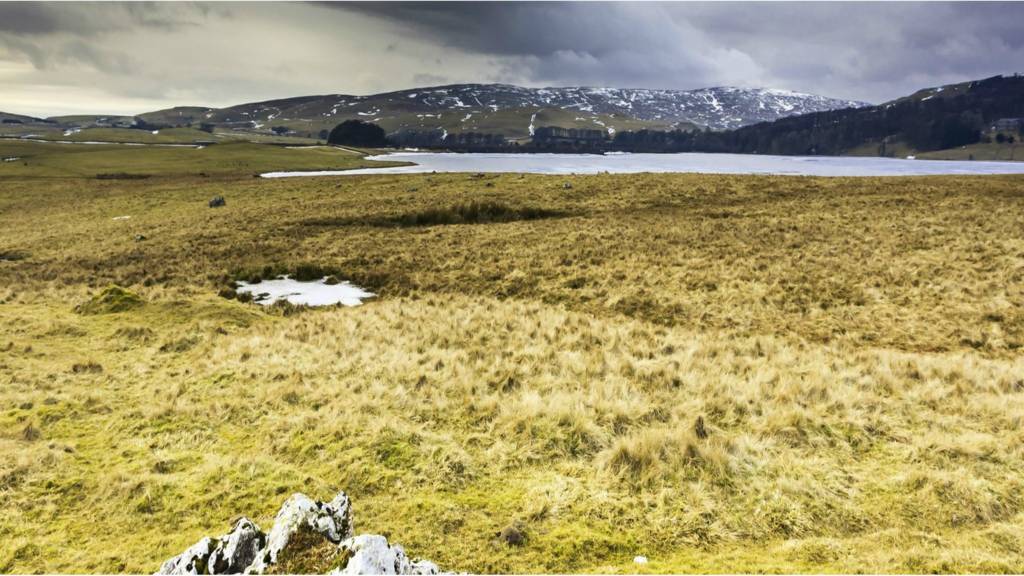 Malham Tarn