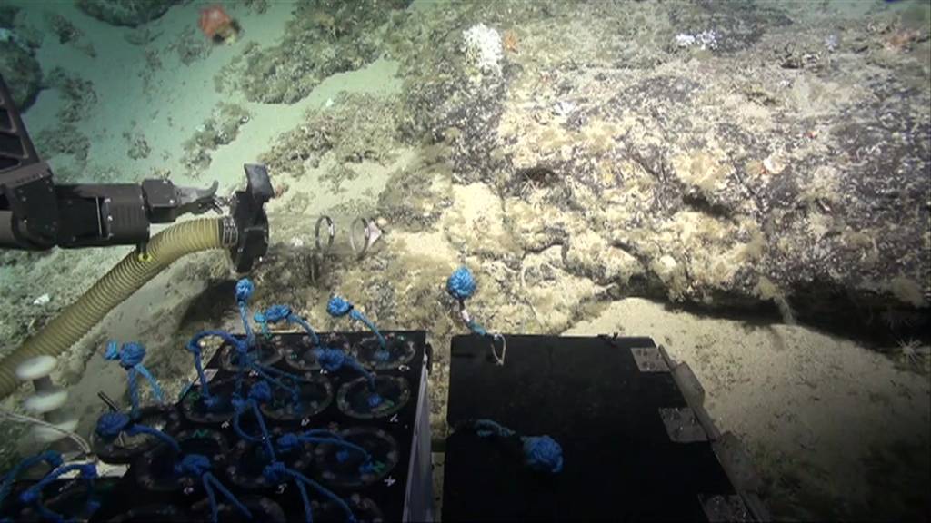 Deep sea robot. Pic: Plymouth University